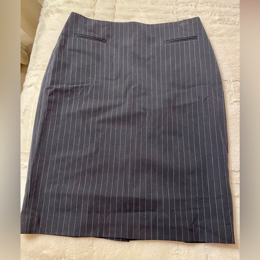 Grace Dane Lewis Office Skirt